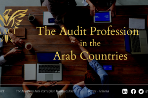 The Audit Profession in the Arab Countries.