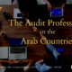 The Audit Profession in the Arab Countries.