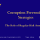 Corruption Prevention Strategies: The Role of Regular Risk Assessments