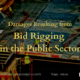 Damages Resulting from Bid Rigging in the Public Sector